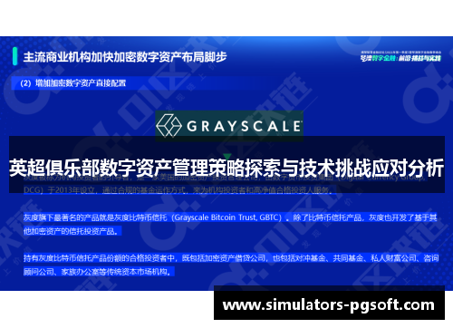 英超俱乐部数字资产管理策略探索与技术挑战应对分析