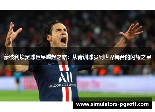 蒙彼利埃足球巨星崛起之路：从青训球员到世界舞台的闪耀之星