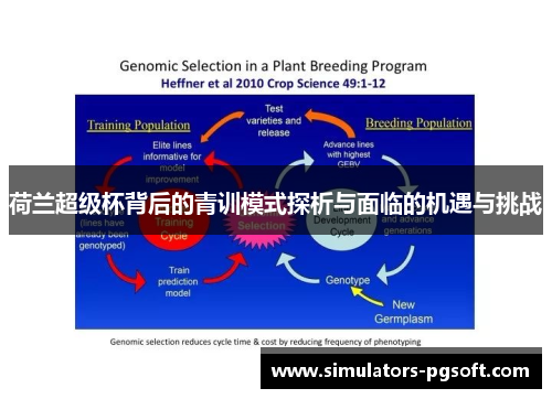 荷兰超级杯背后的青训模式探析与面临的机遇与挑战