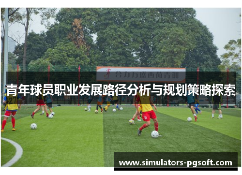 青年球员职业发展路径分析与规划策略探索