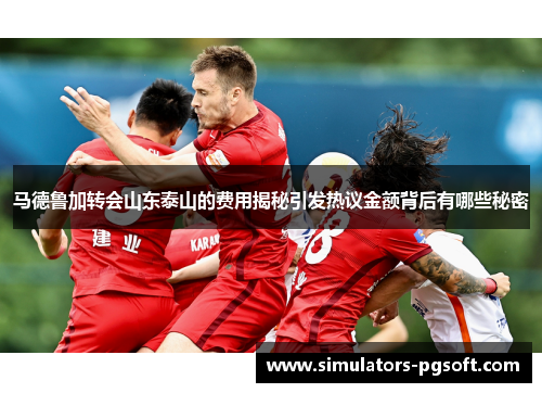 马德鲁加转会山东泰山的费用揭秘引发热议金额背后有哪些秘密